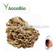 12 years ISO certified factory Grifola frondosa Maitake mushroom extract